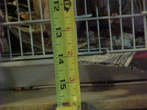 measurments4.gif.jpg